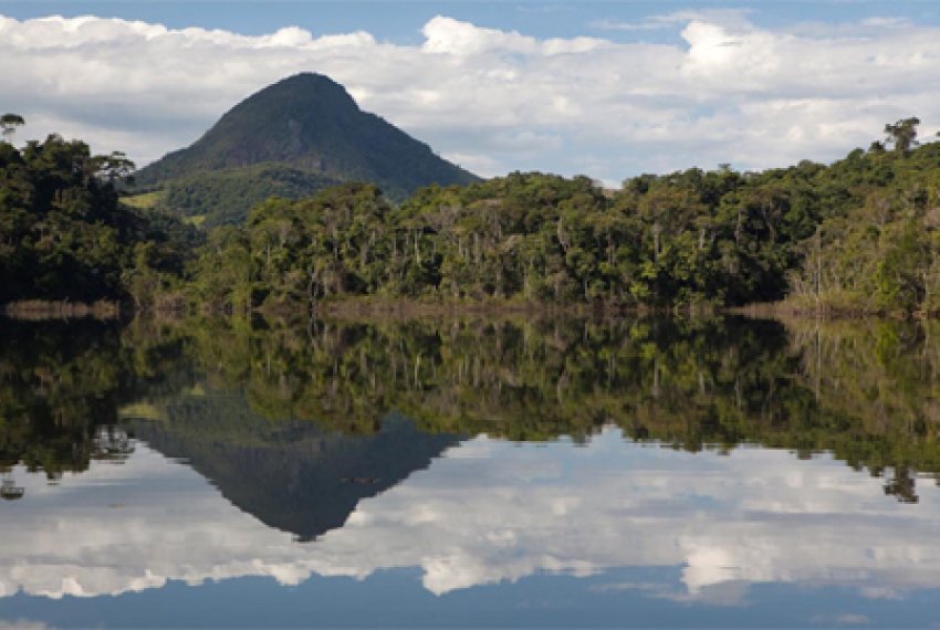 Cariacica  a cidade da Grande Vitria com mais reas de preservao - Meio Ambiente