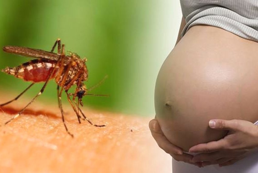 Sesa divulga boletim de Zika - 393 casos de zika