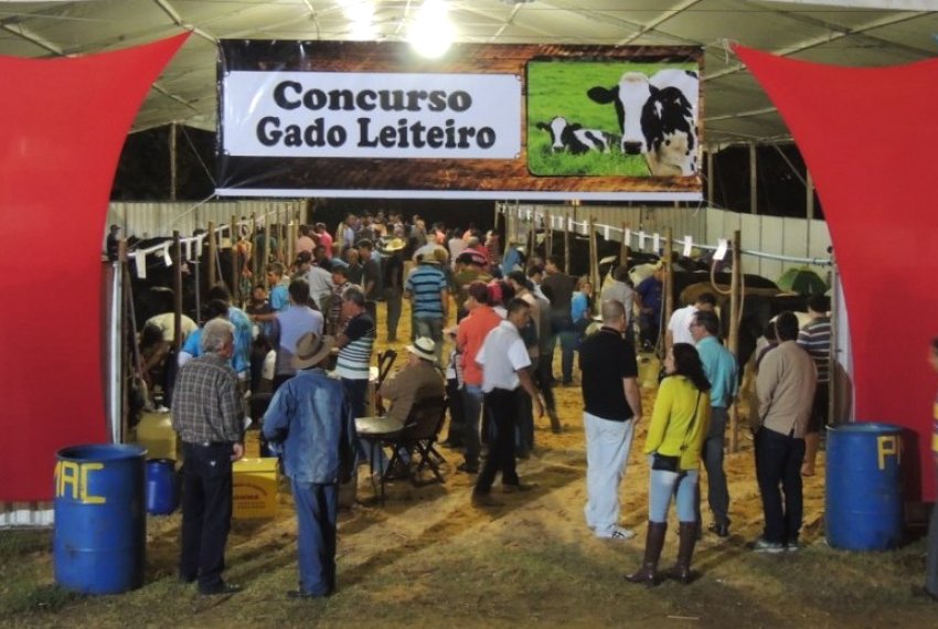 Produtores se preparam para concurso gado leiteiro - Festa da Banana