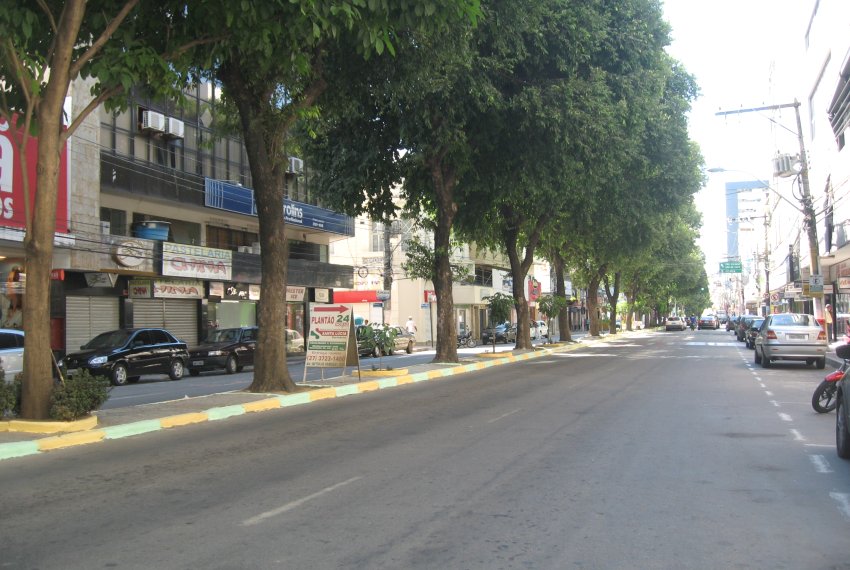 Interdio de vias para poda das rvores da Avenida Getlio - Trnsito de veculo