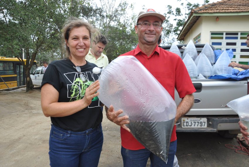 Prefeitura e AAQUINOV entregam alevinos a piscicultores - Criao de peixes