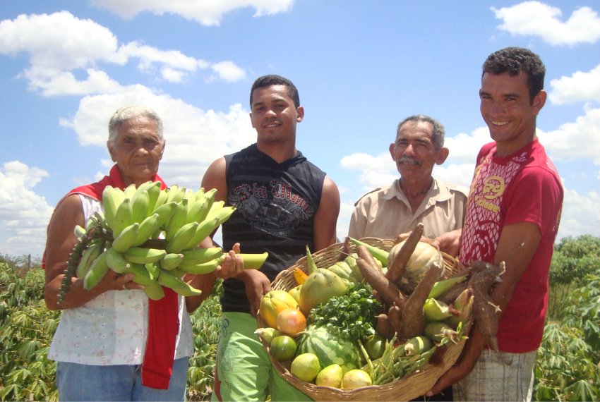 Produtores rurais vo receber bnus em 19 culturas - Agricultura Familiar