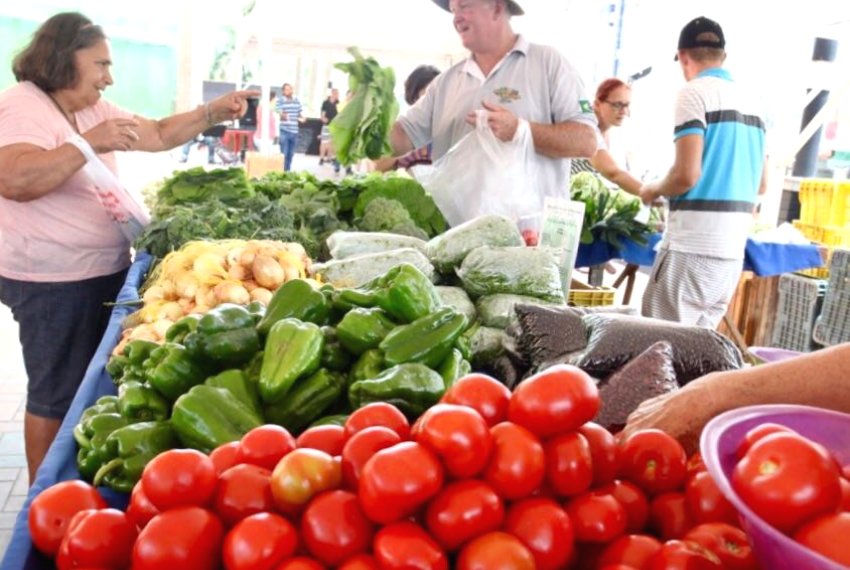 Jardim Camburi tem mais uma feira de produtos orgnicos - Alimentos Saudveis