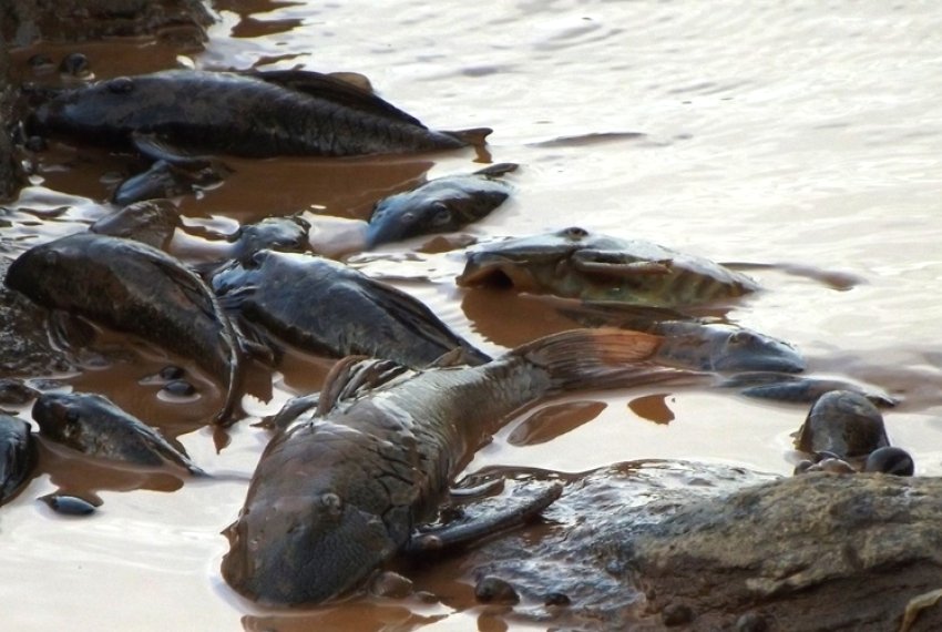 Pescadores do Norte do ES reivindicam indenizao aps lama - Samarco