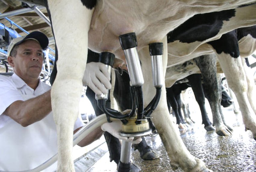 Assembleia promove discusso sobre ICMS do leite - Homem do campo