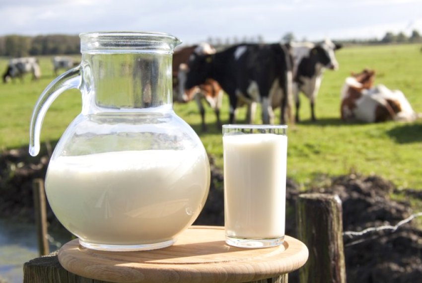 Aprovada a alterao do ICMS do leite - Economia