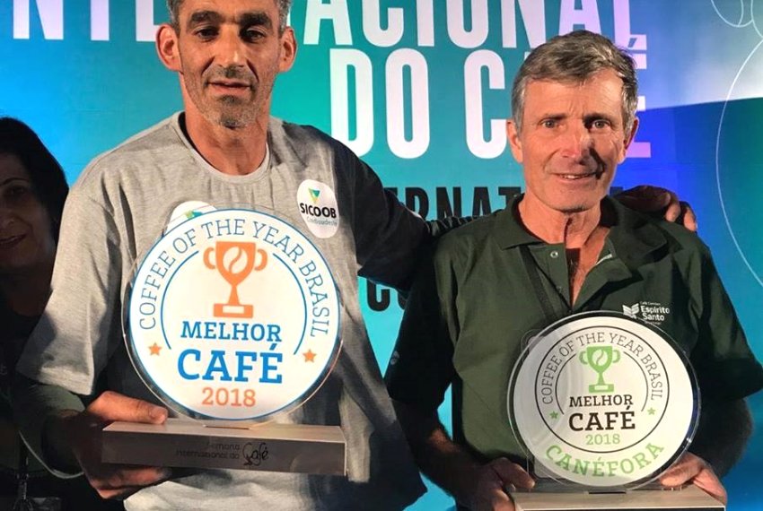 Esprito Santo produz os melhores cafs do Brasil - Confira