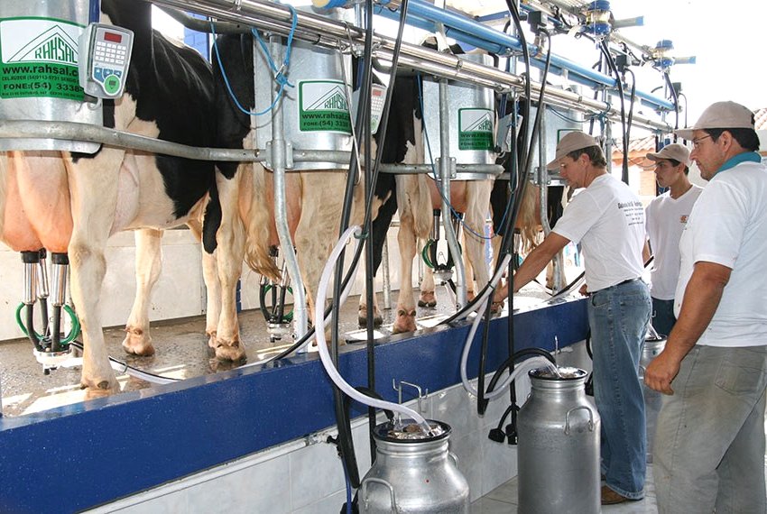 Projeto quer iseno de IPI para a produo de leite - Homem do campo