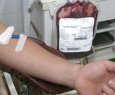 Hemoes pede apoio de doadores voluntrios para reforar estoque de sangue no Carnaval 2013 - Estoque