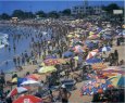 Conscientizao nas praias durante o Carnaval - Cesan