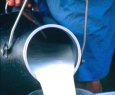 Diretrizes adotadas pelos produtores de cooperativas participantes dos projetos do Sebrae ES garantem produo de leite e renda para as famlias, mesmo nos perodos de seca - Crescimento