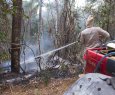 Incndio em Marilndia queimou 350 hectares, boa parte de Mata Atlntica. - Prejuzo Ambiental