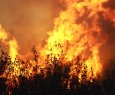 Relatrio de incndios no Estado - Regies com foco